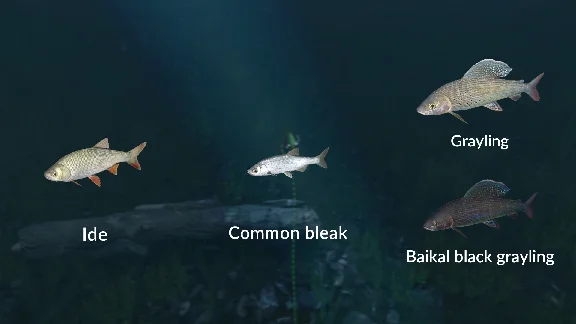 ✅💙ULTIMATE FISHING SIMULATOR - NEW FISH SPECIES💙STEAM