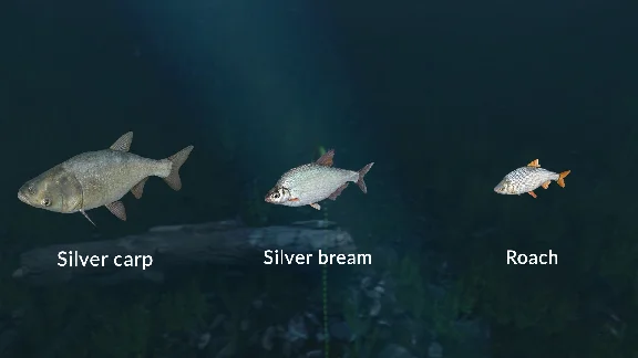 ✅💙ULTIMATE FISHING SIMULATOR - NEW FISH SPECIES💙STEAM