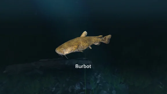 ✅💙ULTIMATE FISHING SIMULATOR - NEW FISH SPECIES💙STEAM