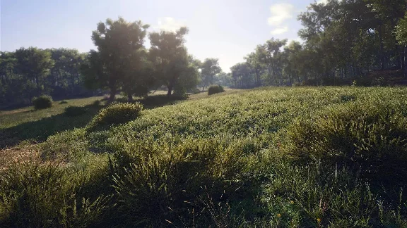 SCUM: Supporter Bundle STEAM KEY🔑 RU+CIS (AM, AZ, GE, 