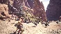 🔑 MONSTER HUNTER: WORLD 🔥XBOX КЛЮЧ