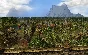 ✅💙THE GUILD II RENAISSANCE💙STEAM GIFT🤖AUTODELIVERY🤖