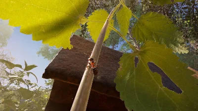 Empire of the Ants 💎 АВТОДОСТАВКА STEAM РОССИЯ