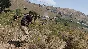 ✅Arma 3 Tac-Ops Mission Pack DLC ⭐Steam\Global\Key⭐ +🎁