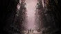 ✅💙DRAGON AGE™: НА СТРАЖЕ ЗАВЕСЫ💙STEAM GIFT🤖АВТО