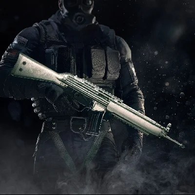 Tom Clancys Rainbow Six Siege Platinum Weapon Skin