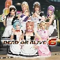 Revival DOA6 Maid Costume Set