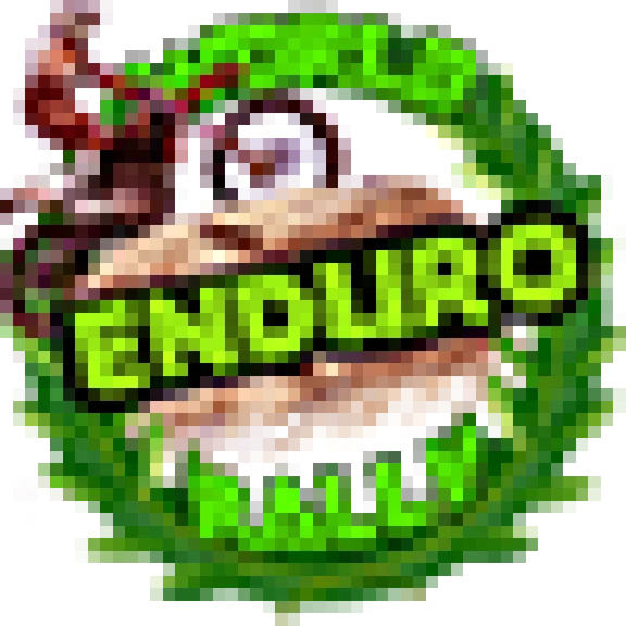 World Enduro Rally