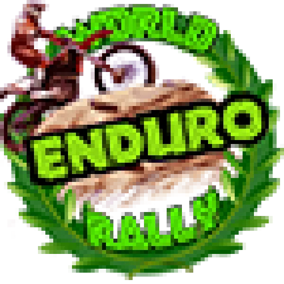 World Enduro Rally