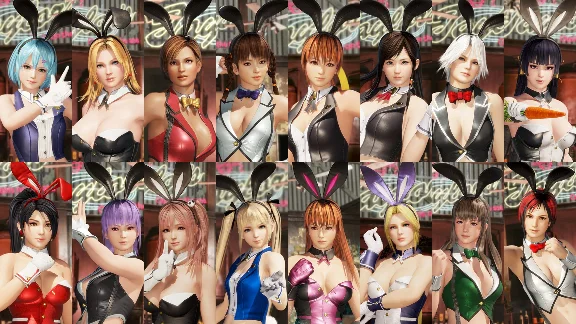 Revival DOA6 Sexy Bunny Costume Set