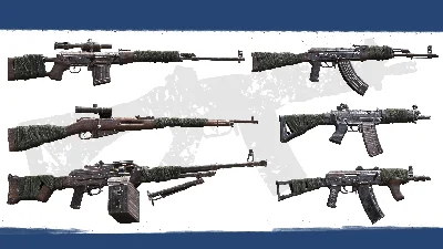 Insurgency Sandstorm  Rust  Wrap Weapon Skin Set