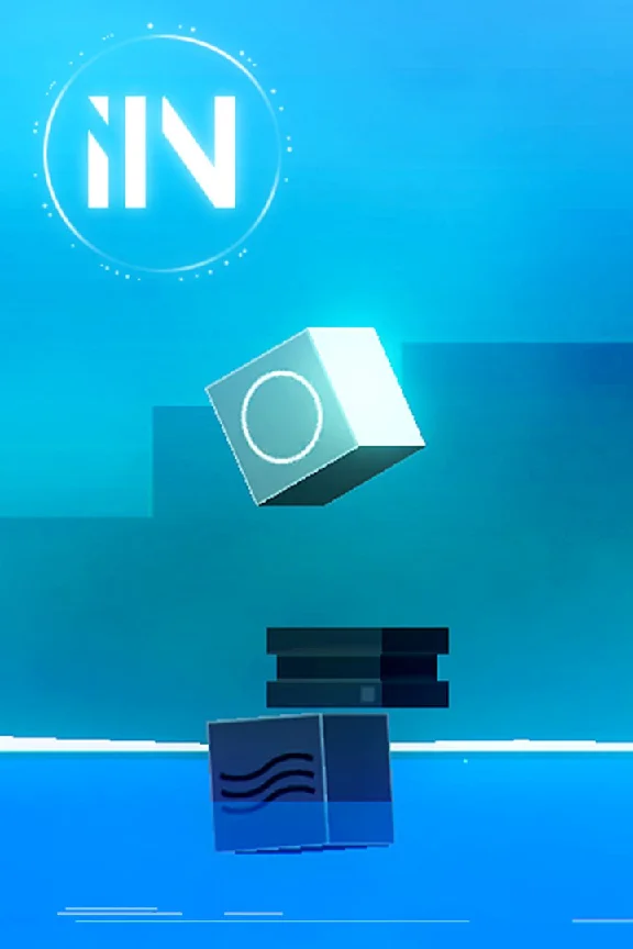 IIN