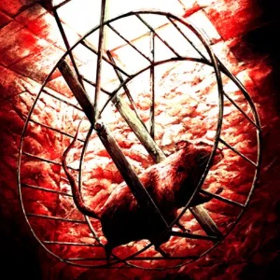 Injection π23 No Name No Number