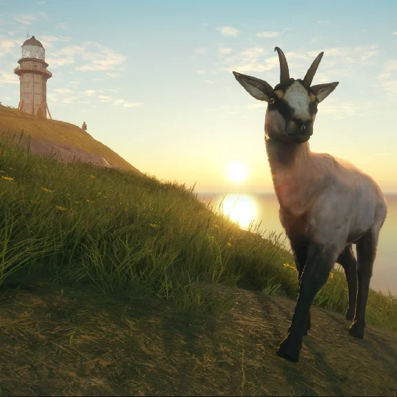 theHunter Call of the Wild  Te Awaroa National Park