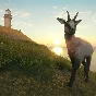 theHunter Call of the Wild  Te Awaroa National Park