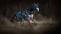 Diablo IV  Crypt Hunter Pack