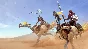 Skyforge Wardens of the Wasteland  Collectors Pack