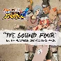 The Sound Four Extra Playable Characters Pack