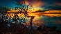 Обои природа для рабочего стола (ПАК 46 шт)