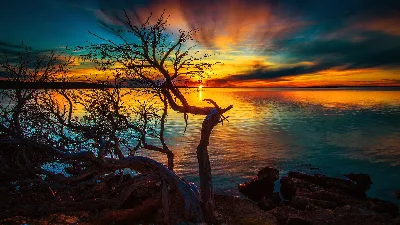 Красивые HD обои ПРИРОДА - 46 штук