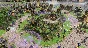 ☑️⭐Age of Mythology: Retold Standard Edition XBOX⭐☑️