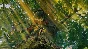 🚀 Smalland: Survive the Wilds 🤖 Steam Gift AUTO
