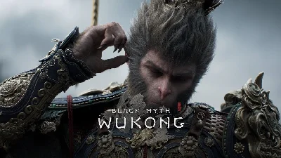 Black Myth: Wukong Deluxe Steam Offline NO Queue