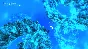 Sparkle 3 Genesis STEAM KEY🔑 RUSSIA+CIS
