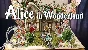 Alice in Wonderland - Hidden Objects КЛЮЧ🔑 STEAM ВСЕ С