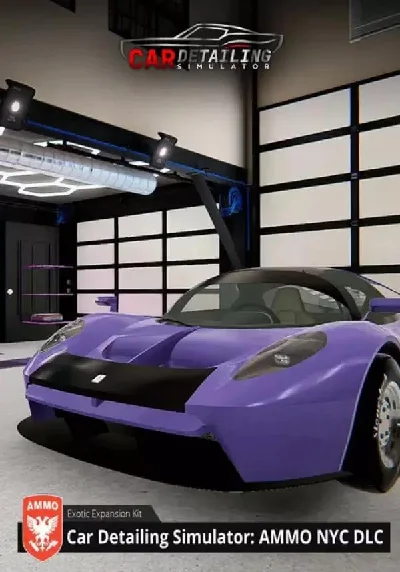 DLC Car Detailing Simulator - AMMO NYC DLC STEAM KEY🔑