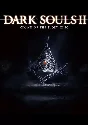 DLC DARK SOULS™ II Crown of the Ivory King КЛЮЧ🔑 STEAM