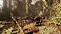 ✅Warhammer Vermintide 2 Collector´s Edition ⭐Steam\Key⭐