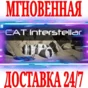 ✅CAT Interstellar ⭐Steam\РФ+Весь Мир\Key⭐ + Бонус