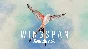 ✅💙WINGSPAN SOUNDTRACK💙STEAM GIFT🤖АВТОДОСТАВКА🤖