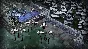 🎮🔥DON´T STARVE TOGETHER: CONSOLE EDITION XBOX🔑КЛЮЧ🔥