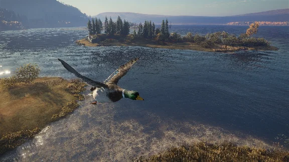 🎮🔥theHunter: Call of the Wild™ XBOX ONE / X|S🔑Key🔥