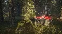 🎮🔥theHunter: Call of the Wild™ XBOX ONE / X|S🔑Key🔥