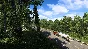 American Truck Simulator - Arkansas * RU/KZ/СНГ/TR/AR