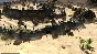 ✅Kingdom Wars 2 Definitive Edition⭐Steam\РФ+Мир\Key⭐+🎁