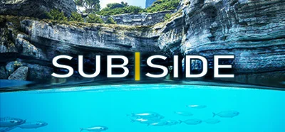 Subside 💎 STEAM GIFT RUSSIA 🇷🇺