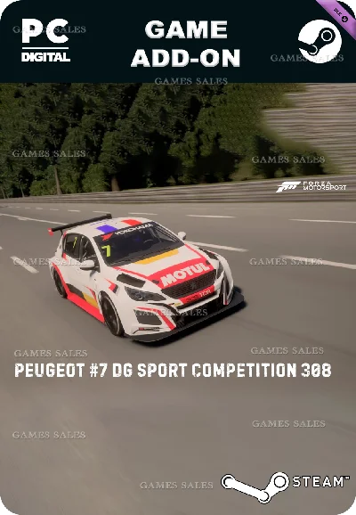 ✅💙FM 2018 PEUGEOT #7 DG SPORT COMPÉTITION 308💙STEAM