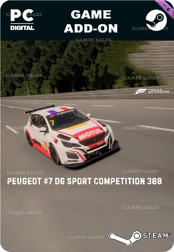 ✅💙FM 2018 PEUGEOT #7 DG SPORT COMPÉTITION 308💙STEAM