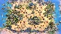 Age of Empires II Definitive Edition  Return of Rome