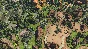 Zoo Tycoon Ultimate Animal Collection
