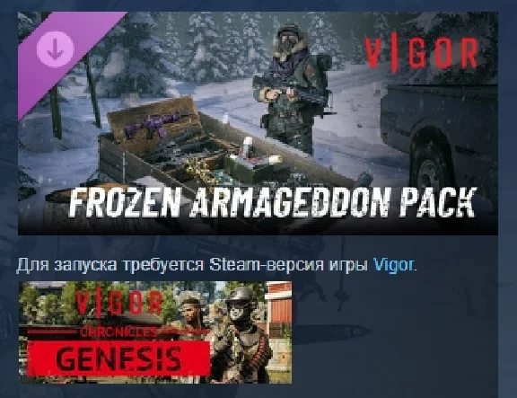 Vigor - Frozen Armageddon 💎 STEAM GIFT RUSSIA