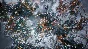 ⭐️ Frostpunk 2 - STEAM (GLOBAL) 🟢