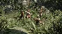 ✅Ryse: Son of Rome ⭐Steam\RegionFree\Key⭐ + Bonus