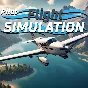 Pilot Flight Simulation ⭐️ на PS4/PS5 | PS | ПС ⭐️ TR
