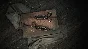 Hunt: Showdown 1896 - Bones and Bounties 💎DLC STEAM РФ