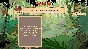 Choice of Life: Wild Islands 💎 STEAM GIFT RUSSIA 🇷🇺
